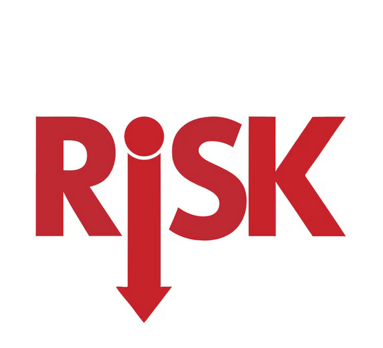 Risk Analizi